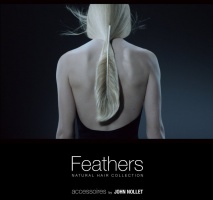 Feathers by John Nollet